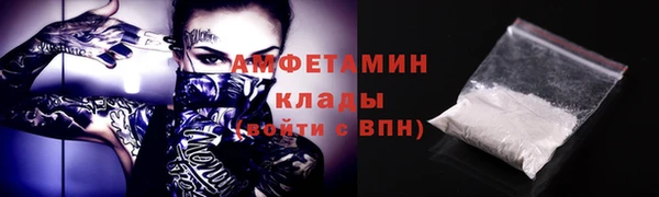 твердый Абаза