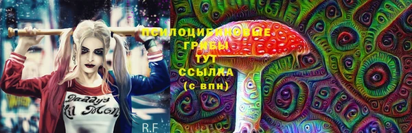 твердый Абаза