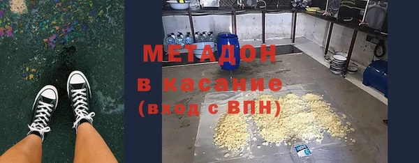 индика Ладушкин