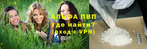 твердый Абаза